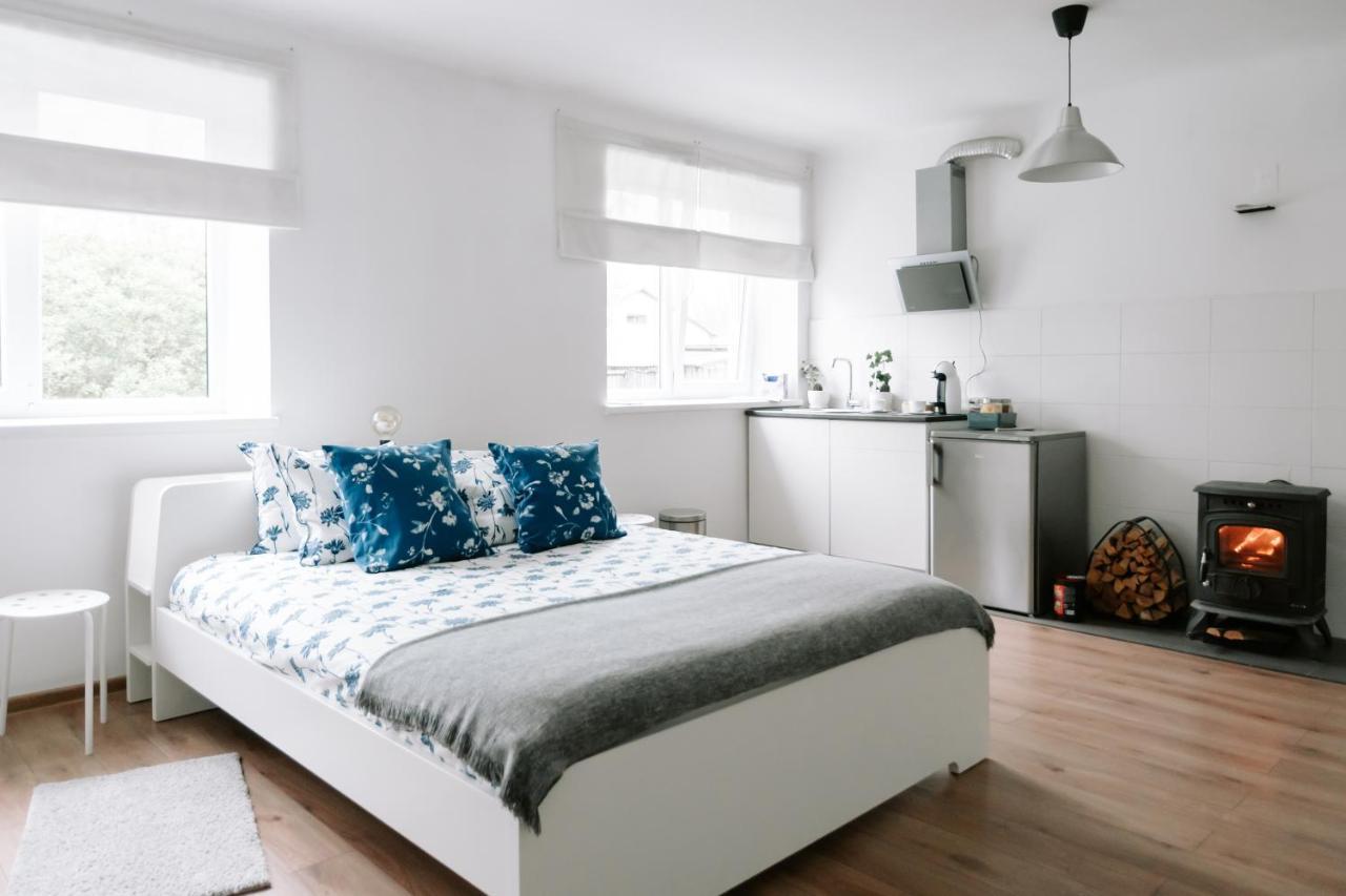Lake Aluksne Studio Apartment Buitenkant foto