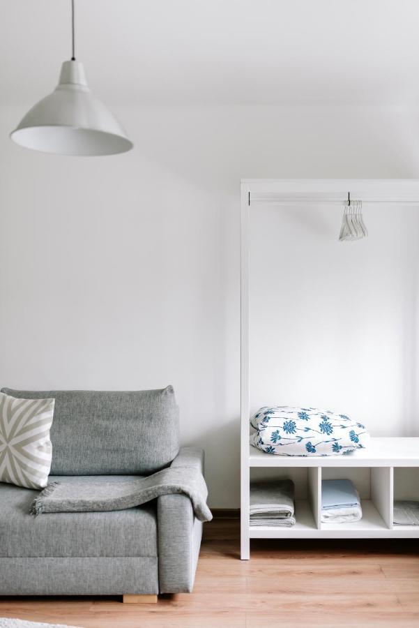 Lake Aluksne Studio Apartment Buitenkant foto