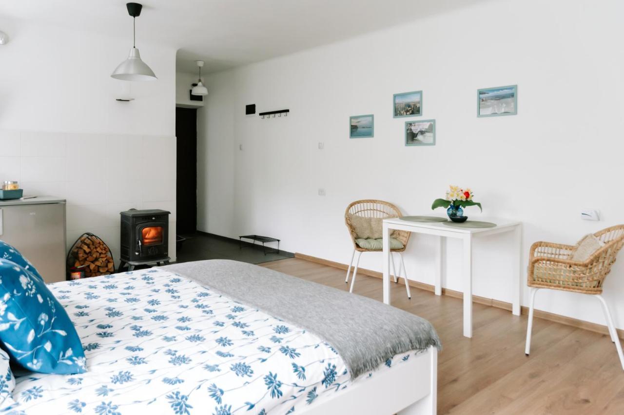 Lake Aluksne Studio Apartment Buitenkant foto
